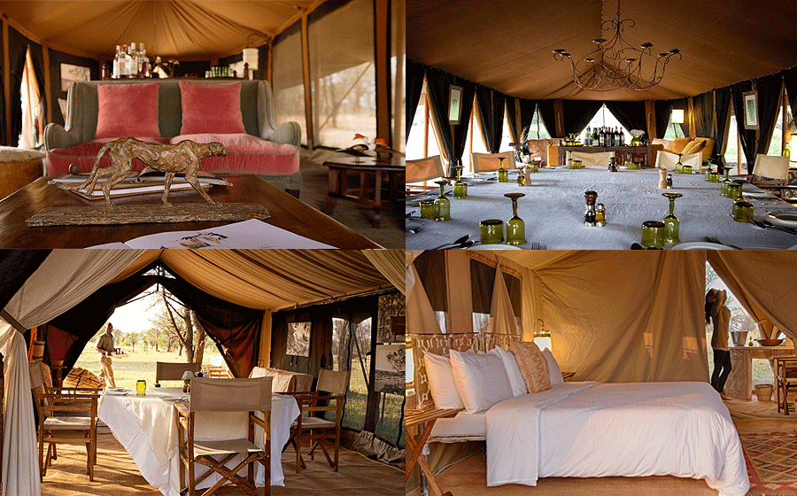 kusini-serians-serengeti Serian’s Serengeti Mobile Kusini