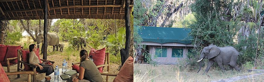 lake-manze-camo-nyerere Lake Manze Camp Nyerere National Park Tanzania