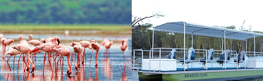 lake-nakuru-boat-ride Boat Safaris Lake Nakuru National Park