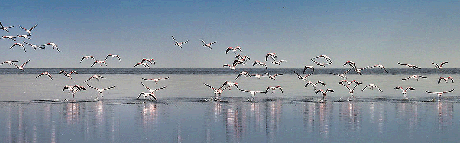 lake-natron-tanzania Lake Natron Camps & Lodges Tanzania