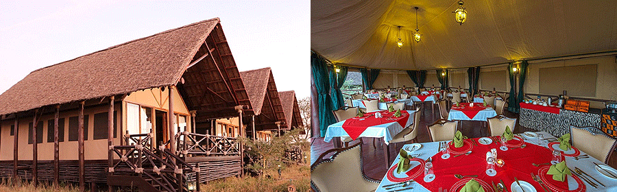 lake-ndutu-tented-lodge Lake Ndutu Luxury Tented Lodge Ngorongoro Tanzania