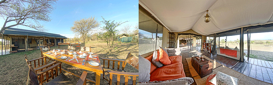 lemala-mara-ndutu-camps Lemala Mara Tented Camp Serengeti
