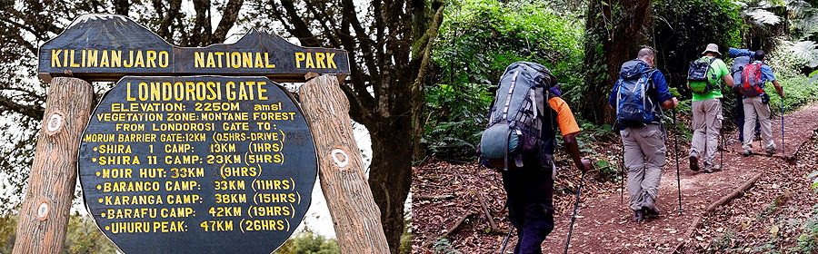 lemosho-kilimanjaro-climb Climbing Mount Kilimanjaro on the Lemosho Route