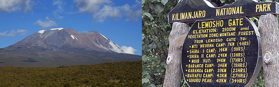 lemosho-route-climb Mount Kilimanjaro Lemosho Route