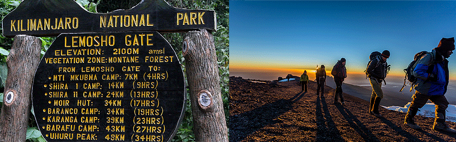 lemosho-route-kilimanjaro Lemosho Route Climb Kilimanjaro