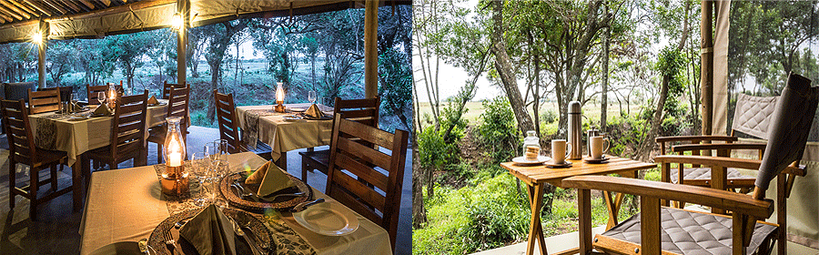 lerai-safari-camp-mara Lerai Safari Camp Maasai Mara