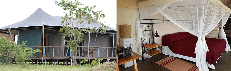 lodge-mara-mara-serengeti Mara Mara Tented Lodge Serengeti National Park