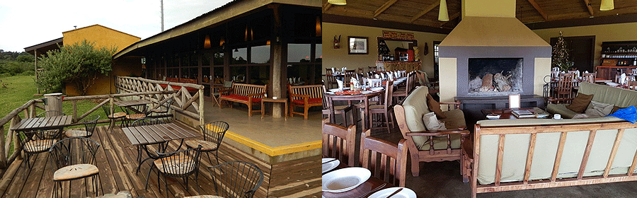 lodge-ngorongoro-rhino Rhino Lodge Ngorongoro Crater