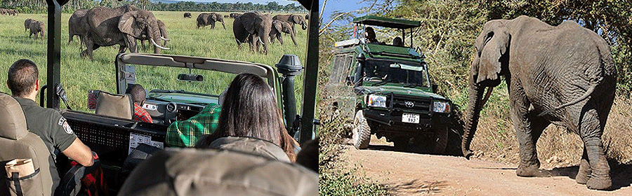 maasai-mara-holiday Masai Mara National Reserve