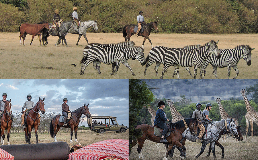 maasai-mara-horse-riding Masai Mara Horseback Riding Safari 2 Hours