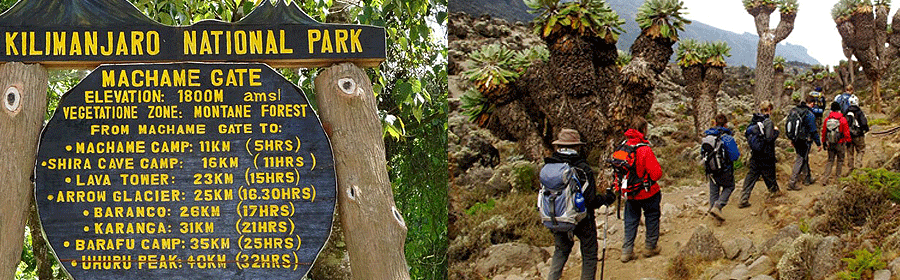 machame-route-climb Machame Route Kilimanjaro Climb