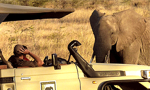 3 Days 2 Nights Tanzania Luxury Road Safari – Manyara Ranch Conservancy (Driving) From Arusha