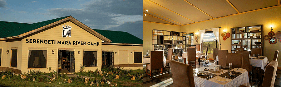 mara-river-camp-serengeti Serengeti Mara River Camp Tanzania