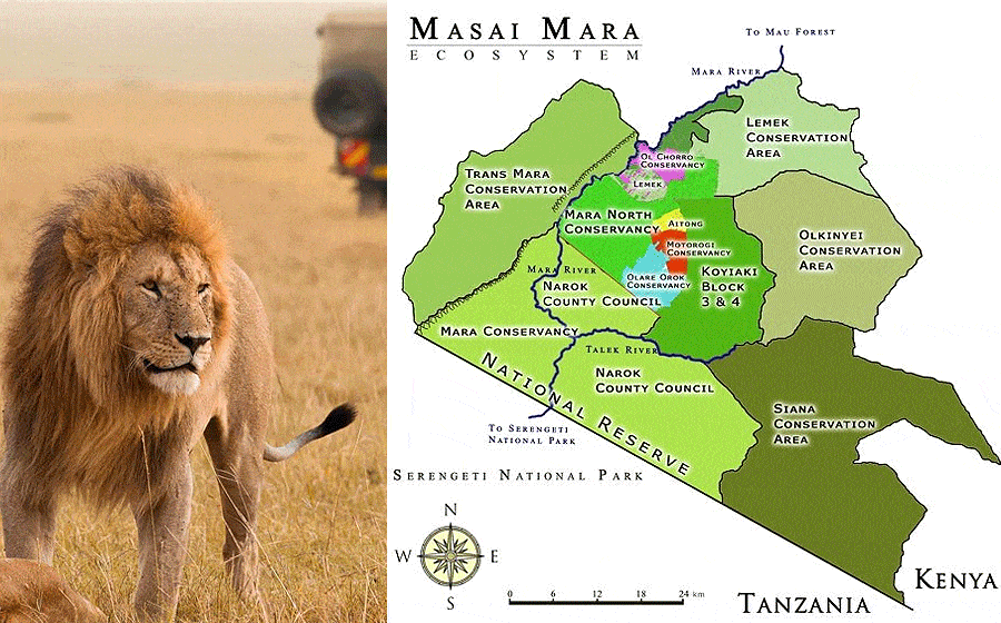masai-mara-conservancies Masai Mara National Reserve & Conservancies