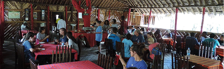 masai-mara-joining-safari Budget Camping Safaris