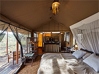 Mbono Tented Camp – Maswa Game Reserve