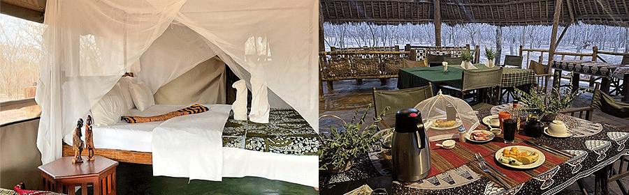 mikumi-angalia-tented-camp Angalia Tented Camp Mikumi National Park Tanzania