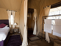 Moru under Canvas Tented Camp – Serengeti National Park