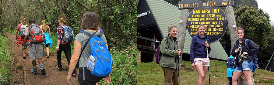 mount-kilimanjaro-day-hike Mt Kilimanjaro Day Hikes Treks