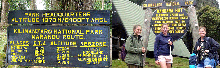 mount-kilimanjaro-shot-trek Marangu Route Climbing Mt Kilimanjaro