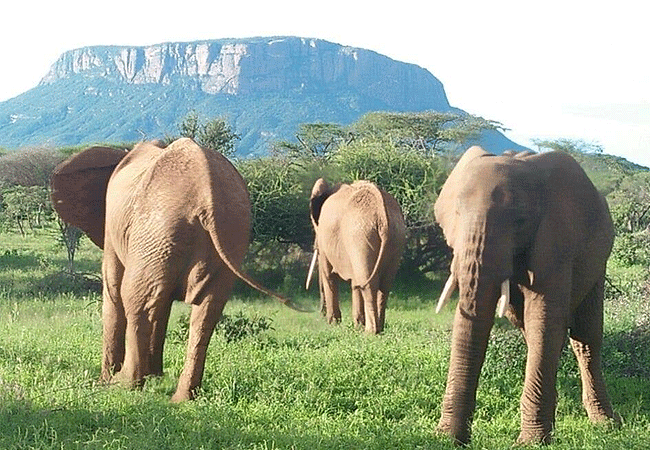 mount-ololokwe-hiking-&-camping-expedition Mount Ololokwe Hiking & Camping Expedition