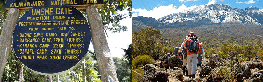 mt-kilimanjaro-umbwe-route Climbing Mount Kilimanjaro Umbwe Route