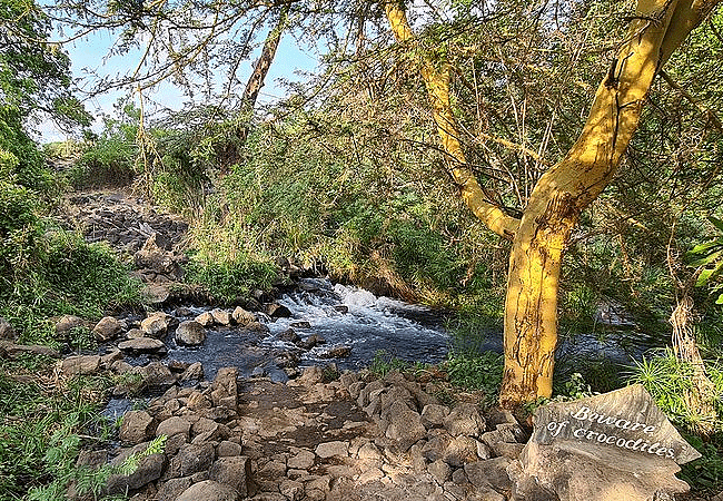 mzima-springs-tsavo-west-na Tsavo West National Park