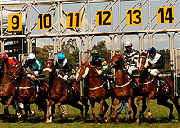 Nairobi Ngong Racecourse Day Tour – Kenya