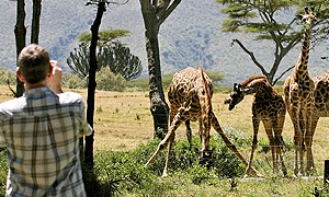 9 Days 8 Nights Luxury Kenya Safari – Samburu, Northern Laikipia Plateau, Lake Naivasha & Masai Mara (Driving) From Nairobi
