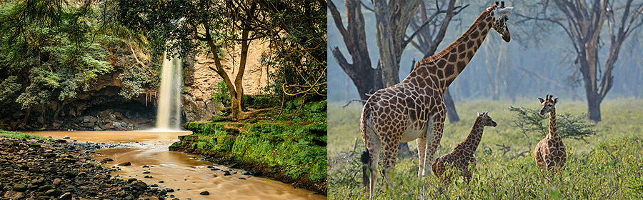 nakuru-national-park-falls Lake Nakuru National Park