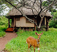 Ndarakwai Camp – Kilimanjaro Region