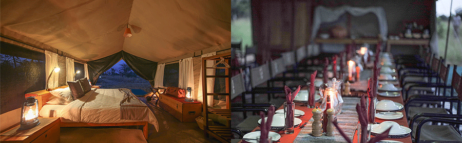 ndutu-wilderness-camp