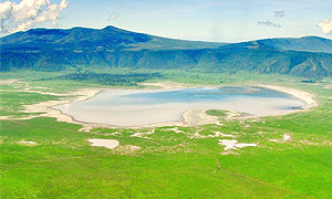 2 Days 1 Night Tanzania Safari – Lake Manyara & Ngorongoro Crater (Driving) From Arusha