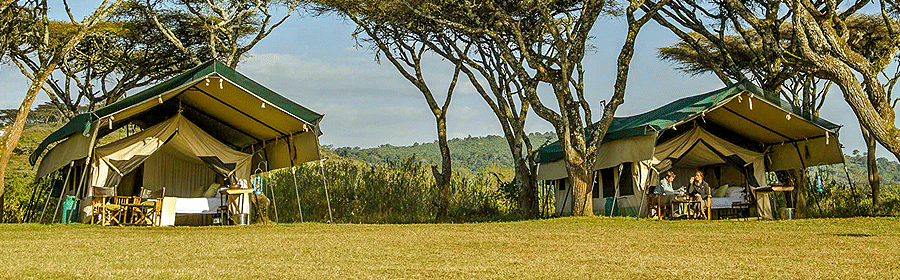 ngorongoro-wild-safari-camp Ngorongoro Wild Camp Tanzania