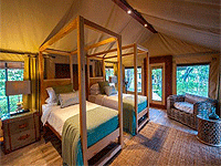 Nimali Tarangire – Tarangire National Park