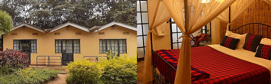 octagon-lodge Octagon Safari Lodge Karatu Tanzania