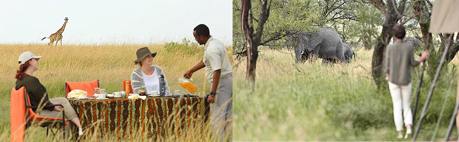 olakira-camp-serengeti Olakira Migration Camp Serengeti Tanzania