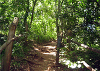 Oloolua Nature Trail Karen Nairobi Guided Walking Tour – Kenya