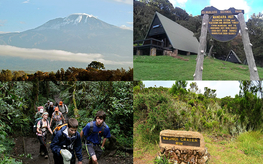 one-day-kilimanjaro-trek Mount Kilimanjaro 1 Day Hiking Trip