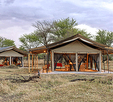 Osero Camp Serengeti National Park Tanzania