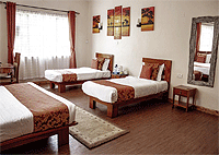 Penguin House - Nanyuki