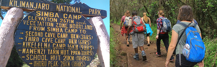 rongai-route-trek Rongai Route Kilimanjaro