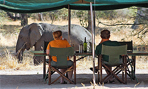 9 Day Tanzania Southern Safari Nyerere Mikumi Udzungwa & Ruaha - From Dar-es-Salaam