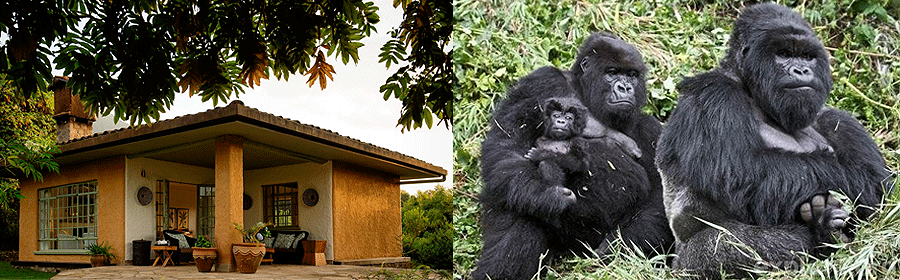 sabyinyo-silverbac-lodge 10 Day Kenya & Rwanda Fly-in Safari Naivasha Masai Mara Volcanoes