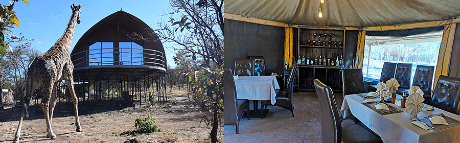 safari-lodge-ngorongoro Ngorongoro Safari Lodge Tanzania