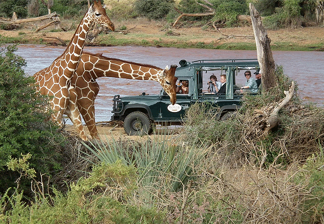 samburu-national-reserve-game-drives Samburu National Reserve