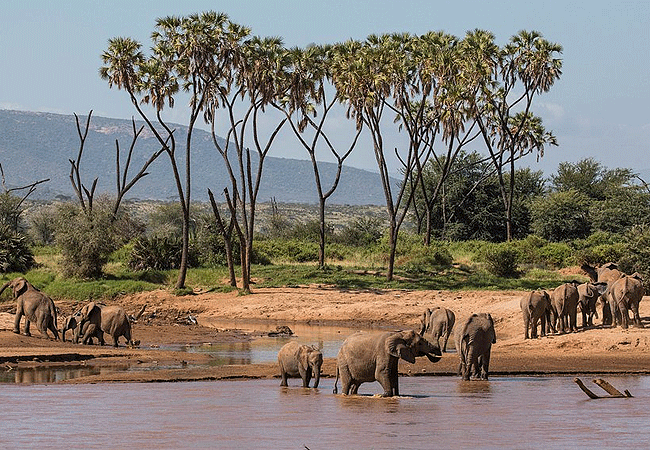 samburu-national-reserve-landscape Samburu National Reserve
