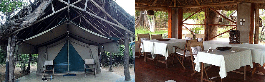 selous-jimbiza-camp Selous Jimbiza Camp Tanzania