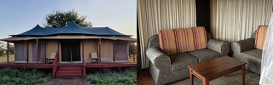 serengeti-acacia-seronera Acacia Seronera Luxury Camp Serengeti Tanzania