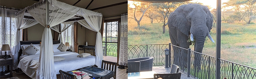 serengeti-camp-sametu Serengeti Sametu Camp Serengeti National Park Tanzania